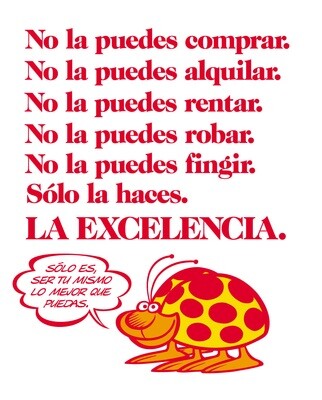Excellence is being yourself the best you can (Spanish)