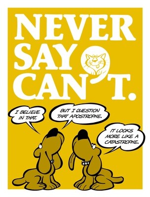 Never Say Can&#39;t