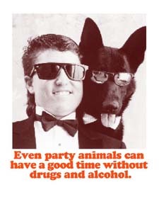 Even party animals..