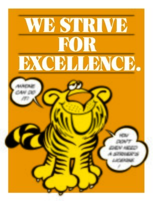 We Strive for Excellence