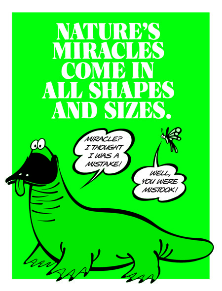 Nature's Miracles Come In All Shapes & Sizes Nature's Miracles Come In All Shapes & Sizes