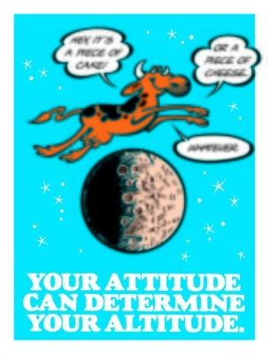Your Attitude Determines Your Altitude