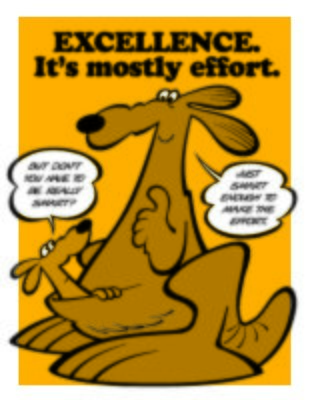 EXCELLENCE. It&#39;s mostly effort.