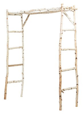White Birch Arch