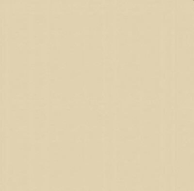 Beige Polyester