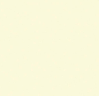 Ivory Polyester