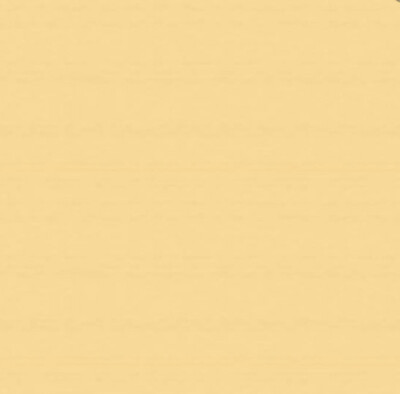 Camel Polyester