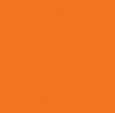 Pumpkin Polyester