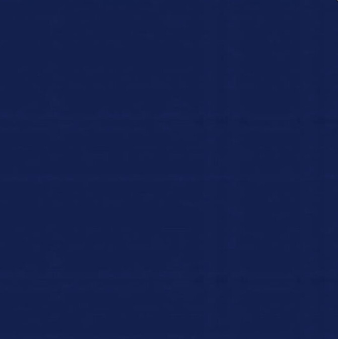 Navy Polyester