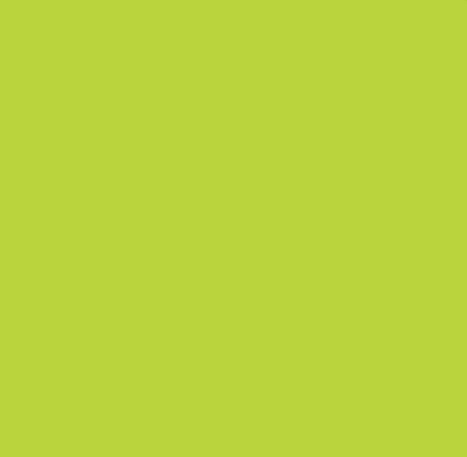 Neon Green Polyester