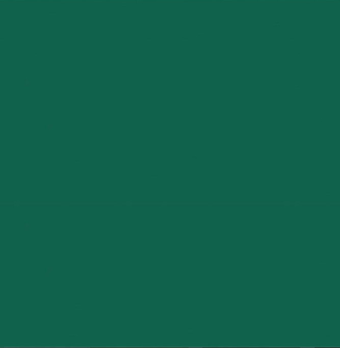 Spruce Bengaline