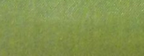 Kiwi Hubutae