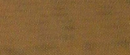 Gold Voile