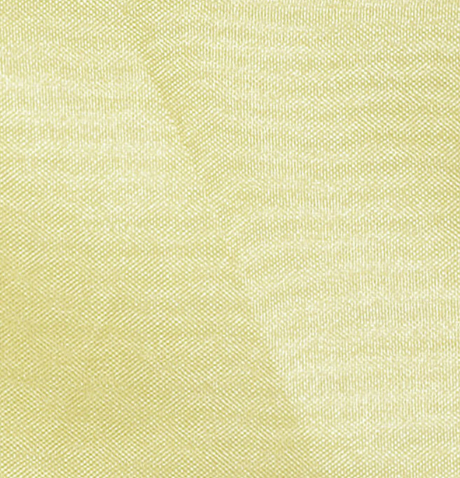 Gold Organza