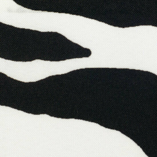 Zebra Animal