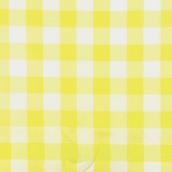 Maize Check