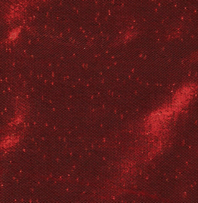 Red Lame