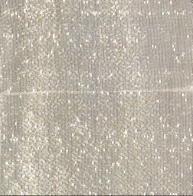 Silver Lame
