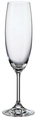 Martina Champagne Flutes 7.74 oz. - Rack of 25 Glasses