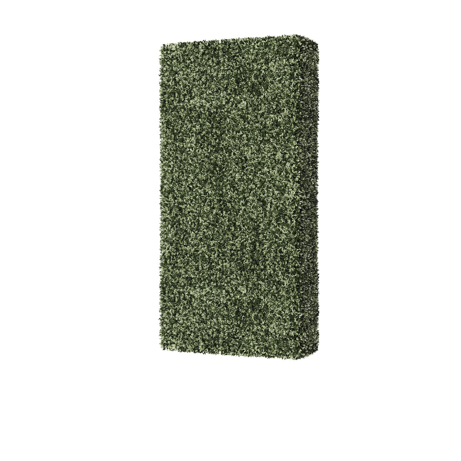 Barnett Boxwood Hedge 8&#39; x 4&#39;