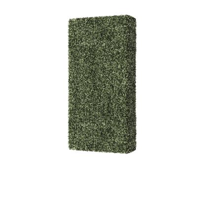Barnett Boxwood Hedge 8&#39; x 4&#39;