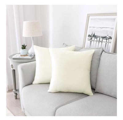 Ivory Velvet Throw Pillow 18" - Set of 2