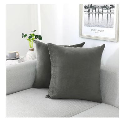 Dark Grey Velvet Throw Pillow 18" - Set of 2