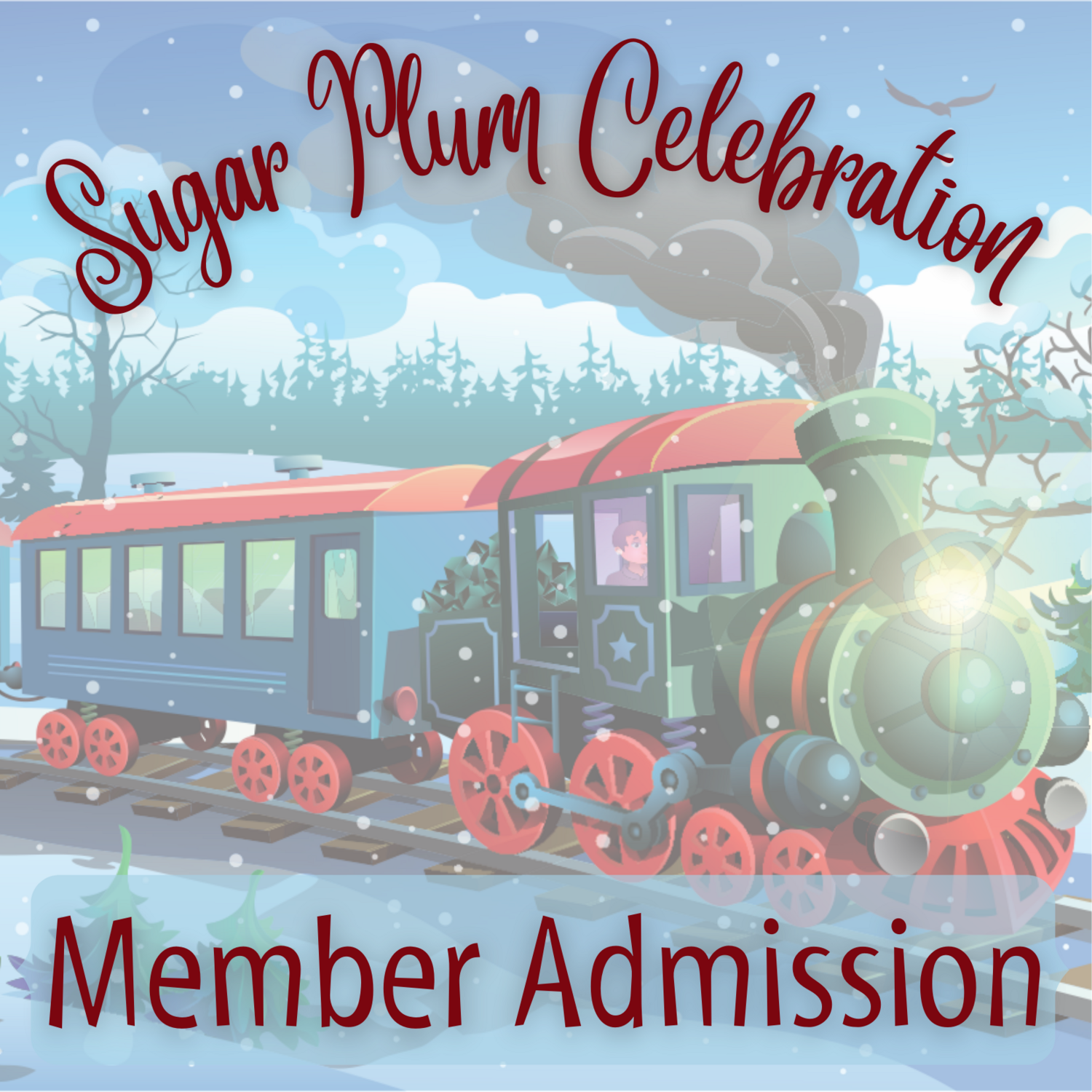 Sugar Plum Celebration - Member Admission