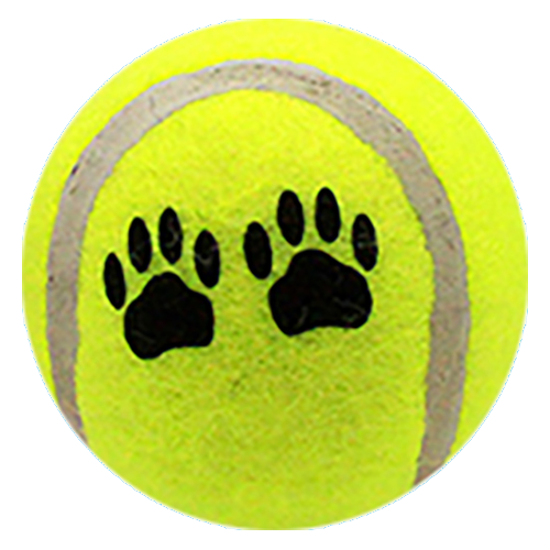 DOG BALL