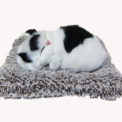 SLEEPING-MEOWING CAT