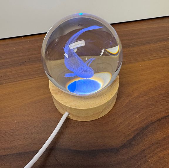 LIGHT-UP COLOR-CHANGING CRYSTAL BALL