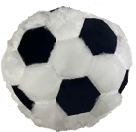 SPORT PILLOWS