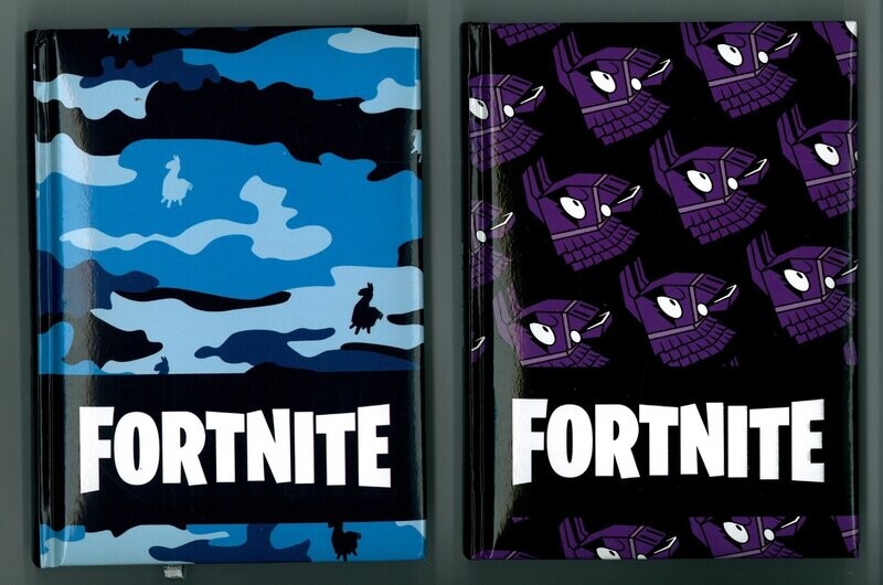 Fortnite diario scuola 12 mesi NON DATATO