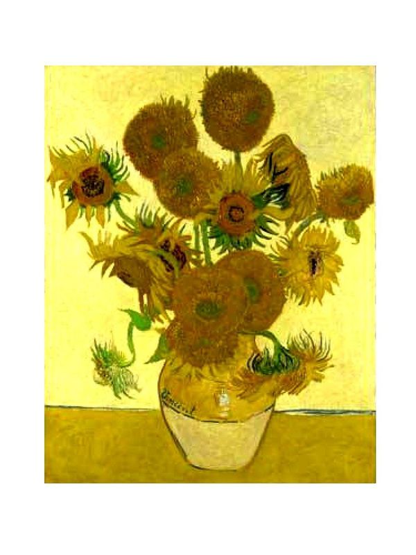 Puzzle 1500 pezzi "Girasoli"