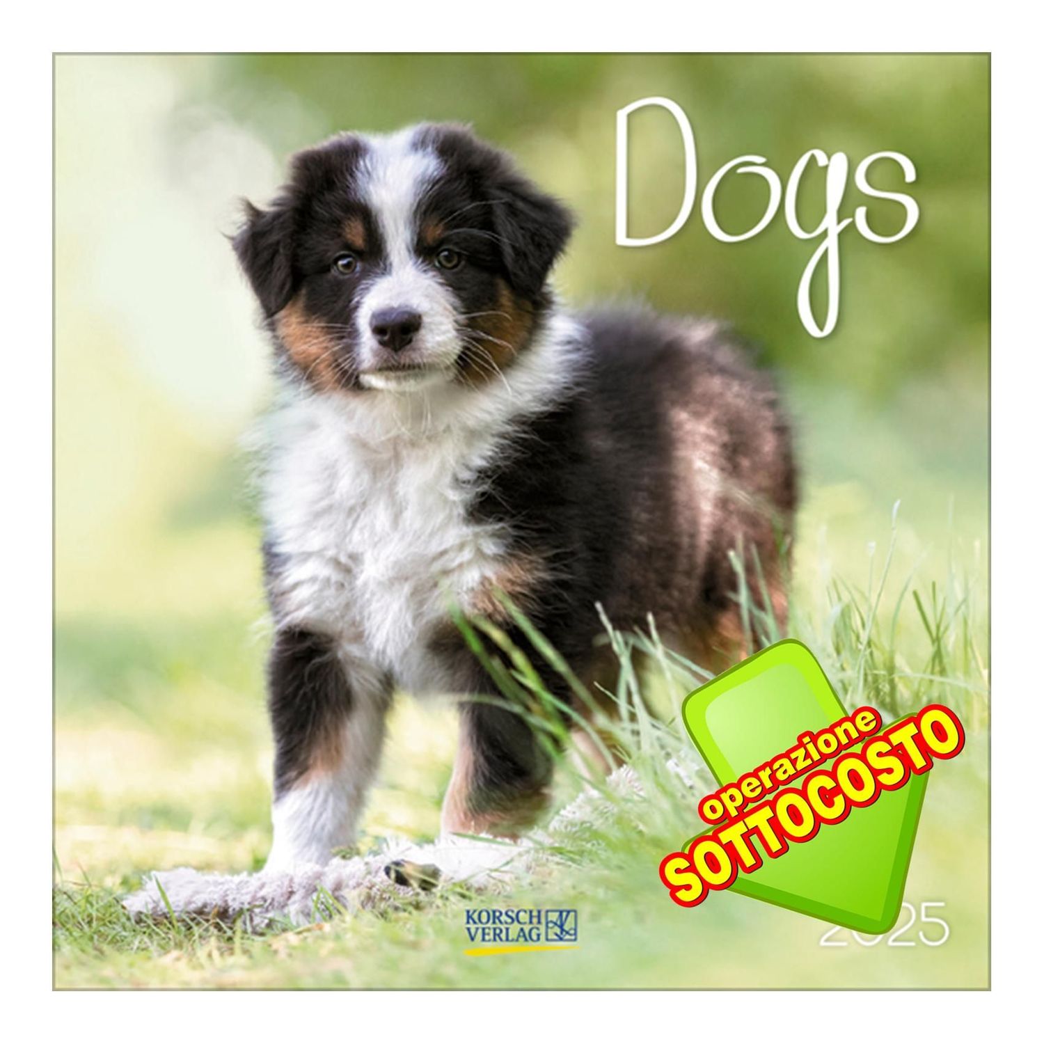 Calendario Cani 2025 Korsch-Verlag