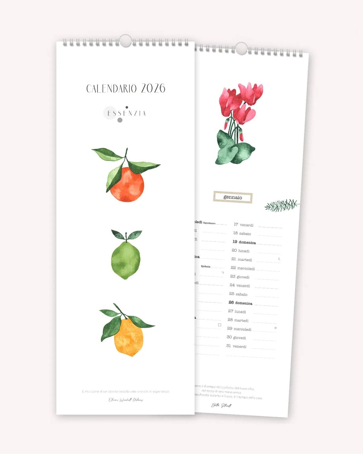 Calendario Parete Spirale 2026 Essenzia