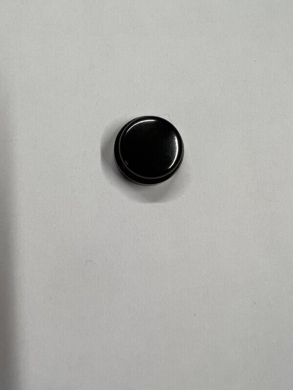 Horn Button