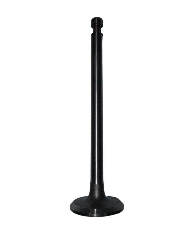 Exhaust Valve
