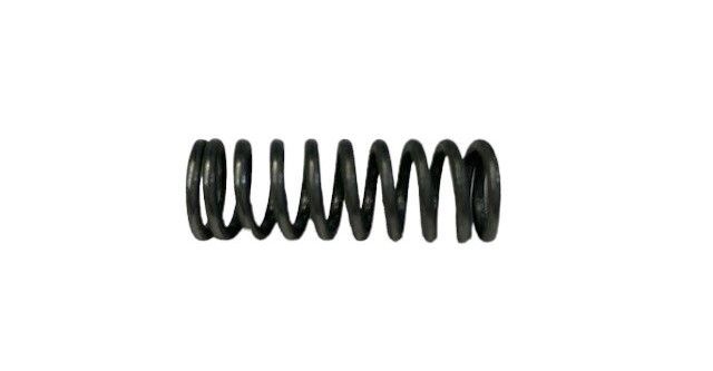 Camshaft Plunger Spring