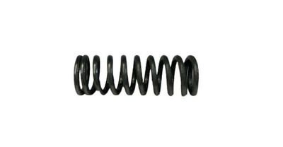 Camshaft Plunger Spring