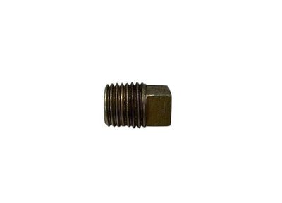 Inlet Manifold Plug