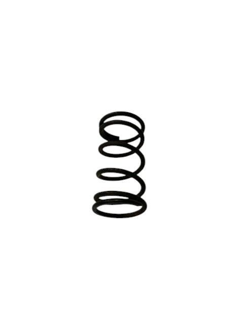 Fuel Filter Spring