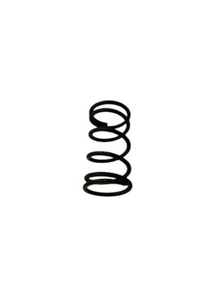 Fuel Filter Spring