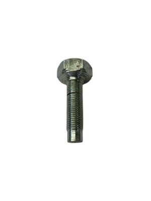 Fuel Filter Bolt