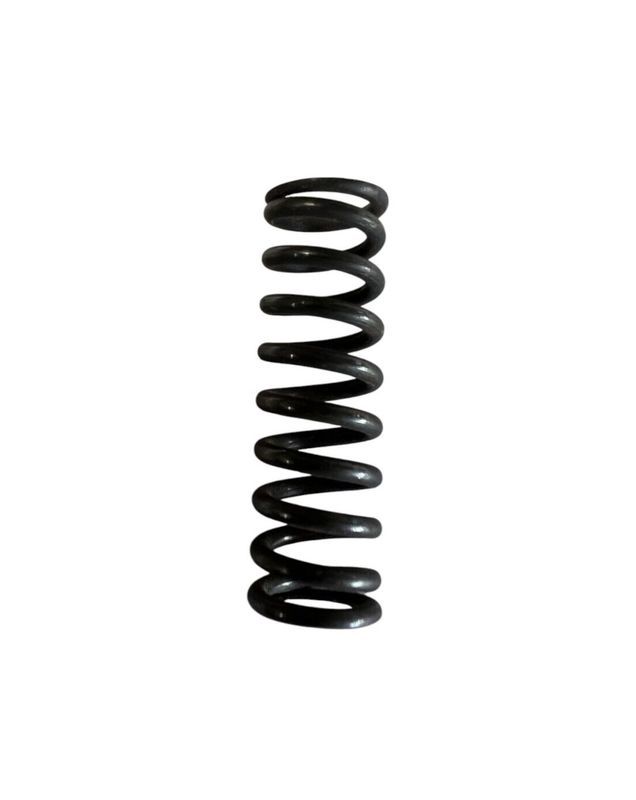 T90 - Shift Rail Poppet Spring T90 - Shift Rail Poppet Spring