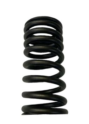 Valve Spring