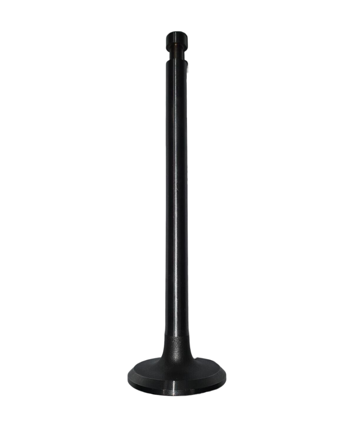 Exhaust Valve Exhaust Valve