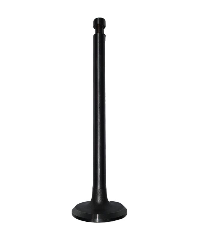 Exhaust Valve