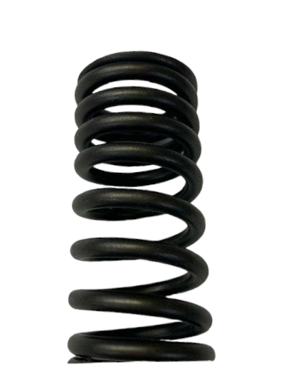 Valve Spring