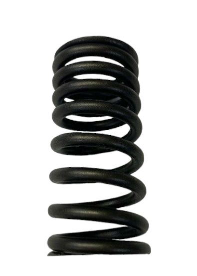 Valve Spring